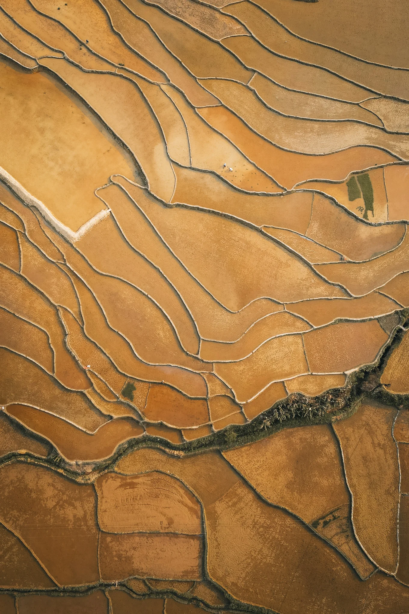 OCaml-related diagram or code.